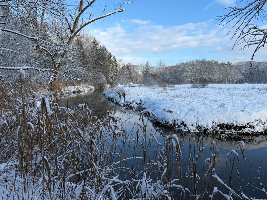 A tranquil winter scene featuring a snowy riverbank and frosty trees under a blue sky.