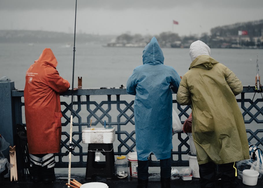 Best Raincoat on Flipkart 2024: Top Rated Waterproof Jackets for Indian Monsoons