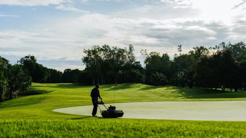 How to Achieve a Perfectly Manicured Lawn with the Right Robot Mower
